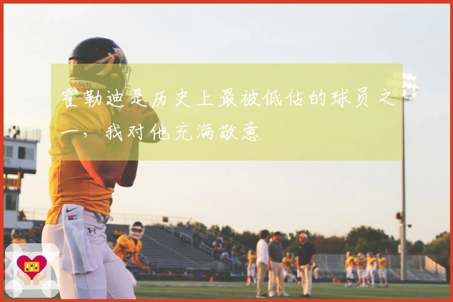 霍勒迪是历史上最被低估的球员之一，我对他充满敬意