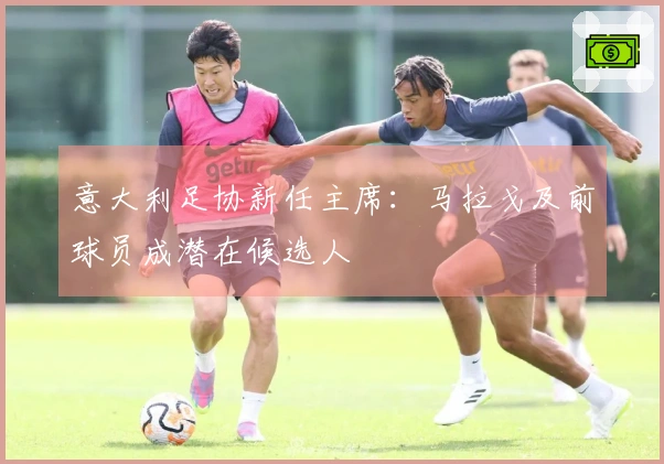 意大利足协新任主席：马拉戈及前球员成潜在候选人