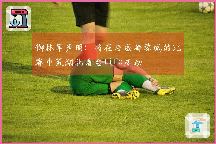 御林军声明：将在与成都蓉城的比赛中策划北看台tifo活动